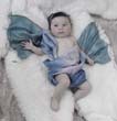 ButterflyBaby